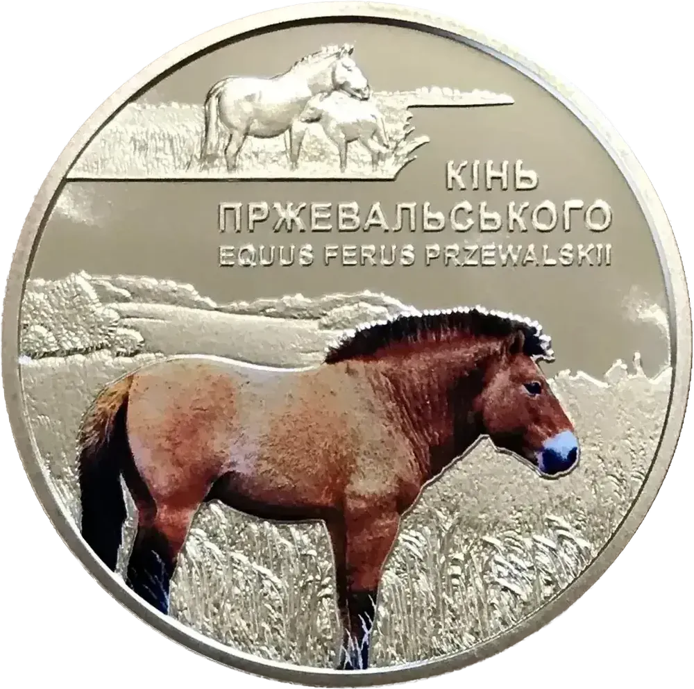 Чорнобиль. Відродження. Кінь Пржевальського