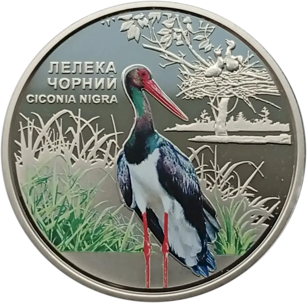 Чорнобиль. Відродження. Лелека Чорний